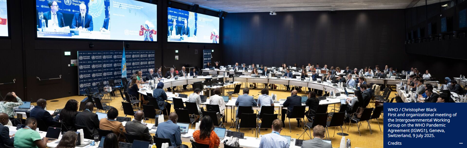 세계보건기구 논의