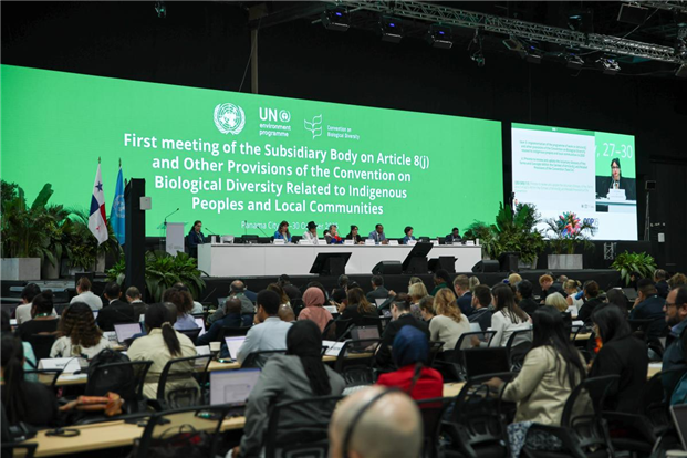 UN First meeting of the Subsidiary Body on Article 8(j) and Other Provisions of the Convention on Biological Diversity Related to Indigenous Peoples and Local Communities