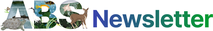 ABS Newsletter