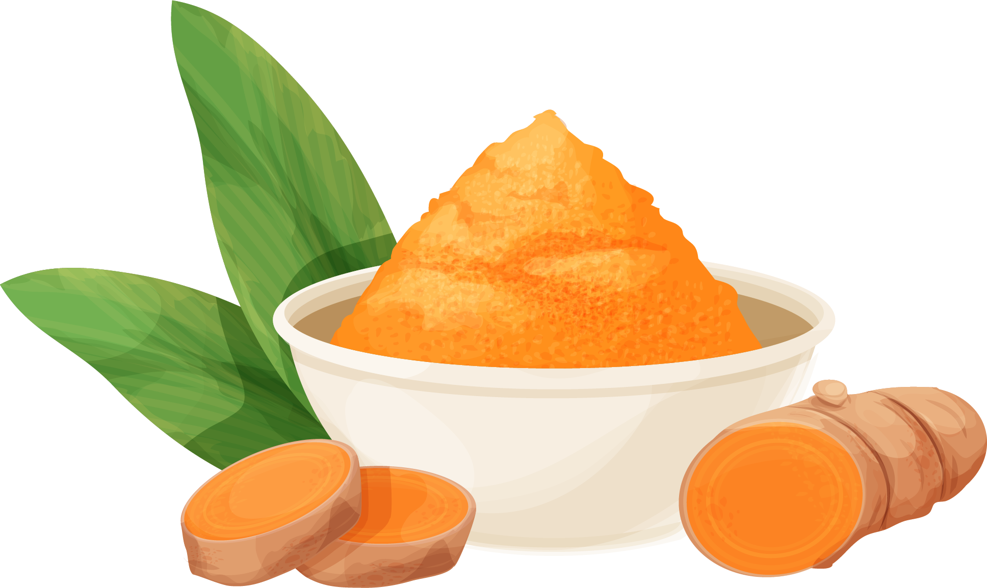 인도 강황 이미지