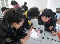 어린이들이 현미경을 보고 있는 모습
