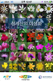 야생화 모바일 앱