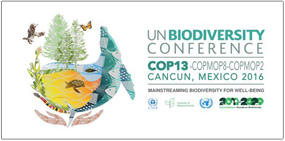 CBD COP13 로고