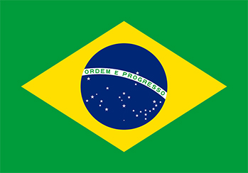 브라질국기